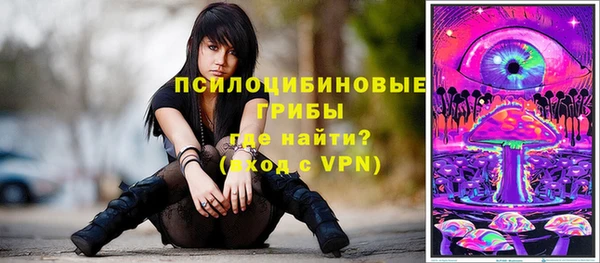 прущие грибы Алексин
