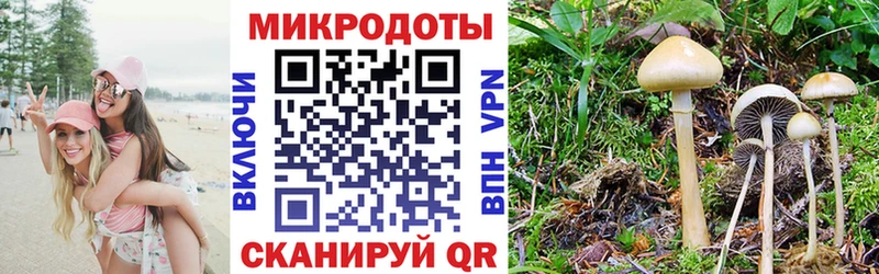 Галлюциногенные грибы Cubensis  Рыльск 